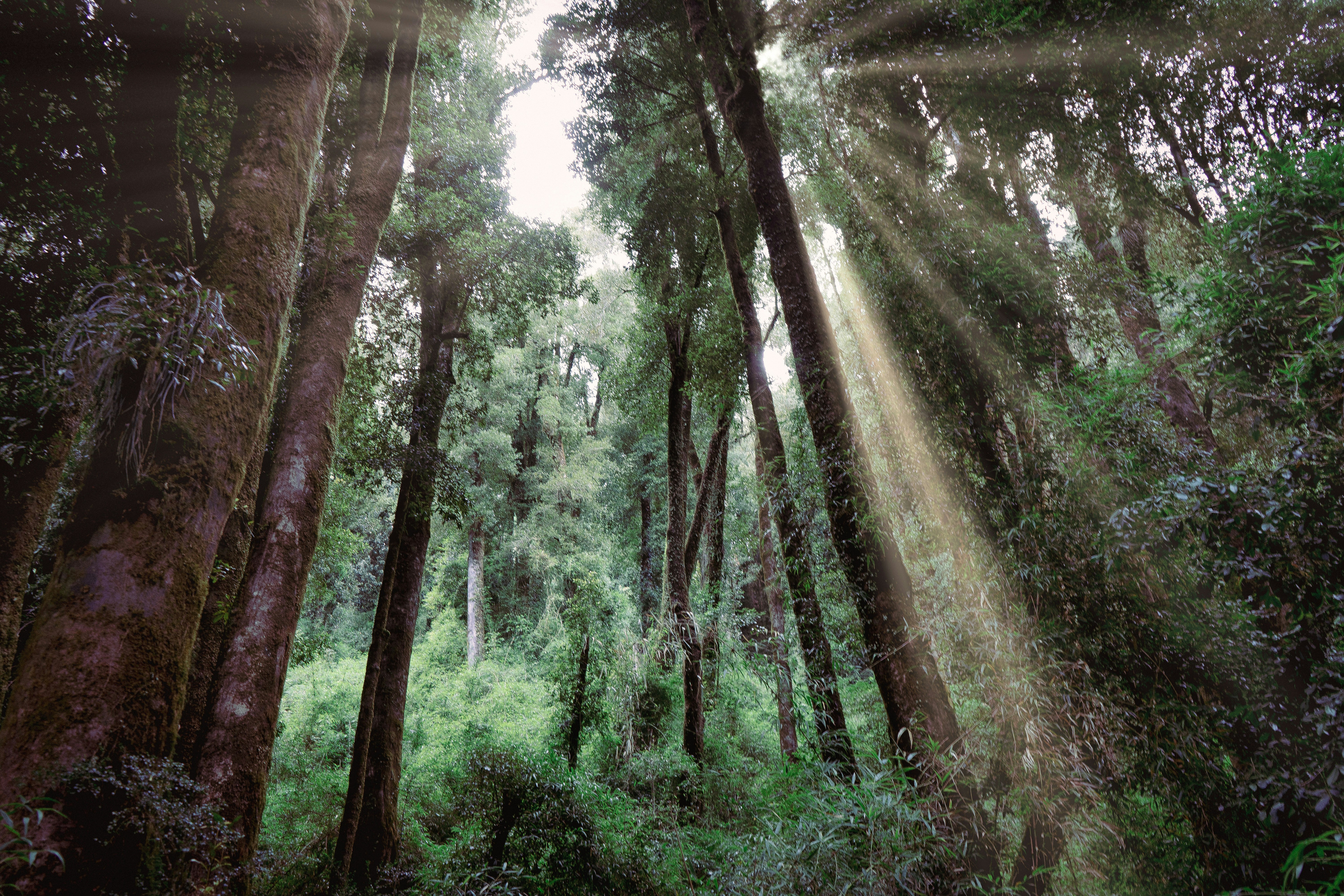 Photo by neosonico