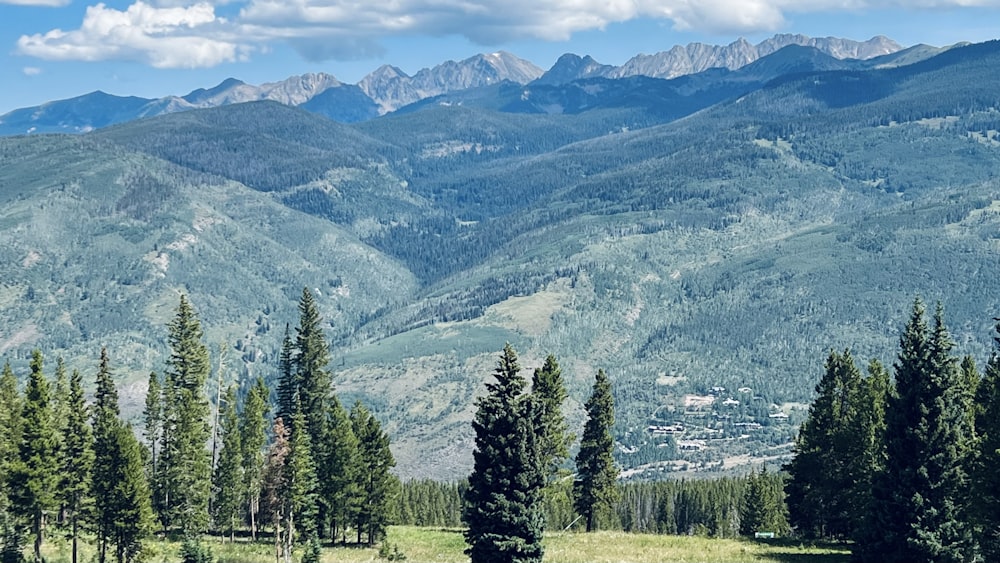 a landscape with trees and mountains in the back