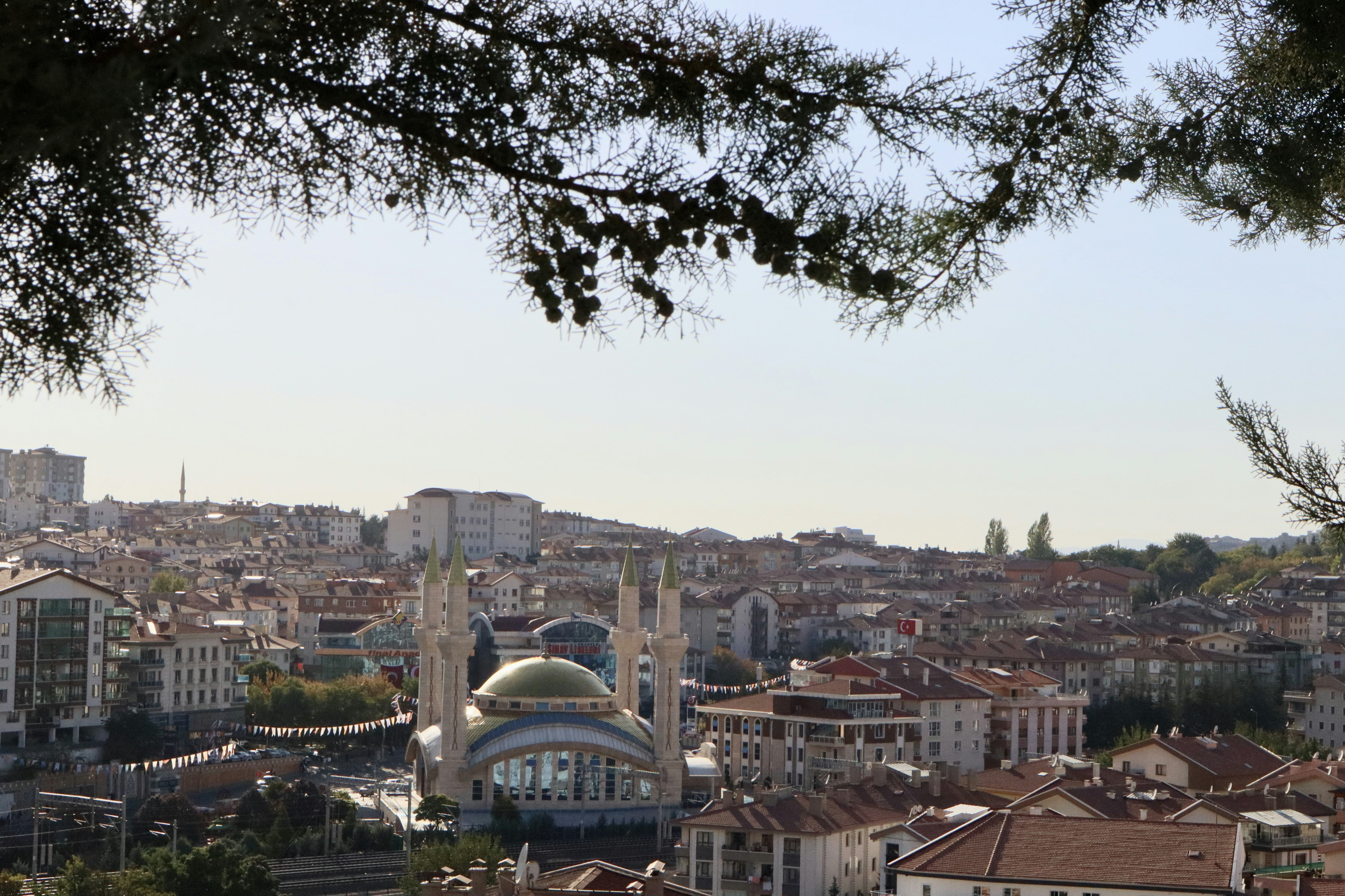 a city with a domed building