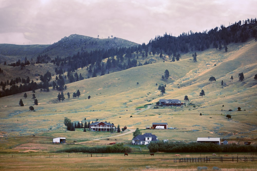 a grassy hill with houses and trees