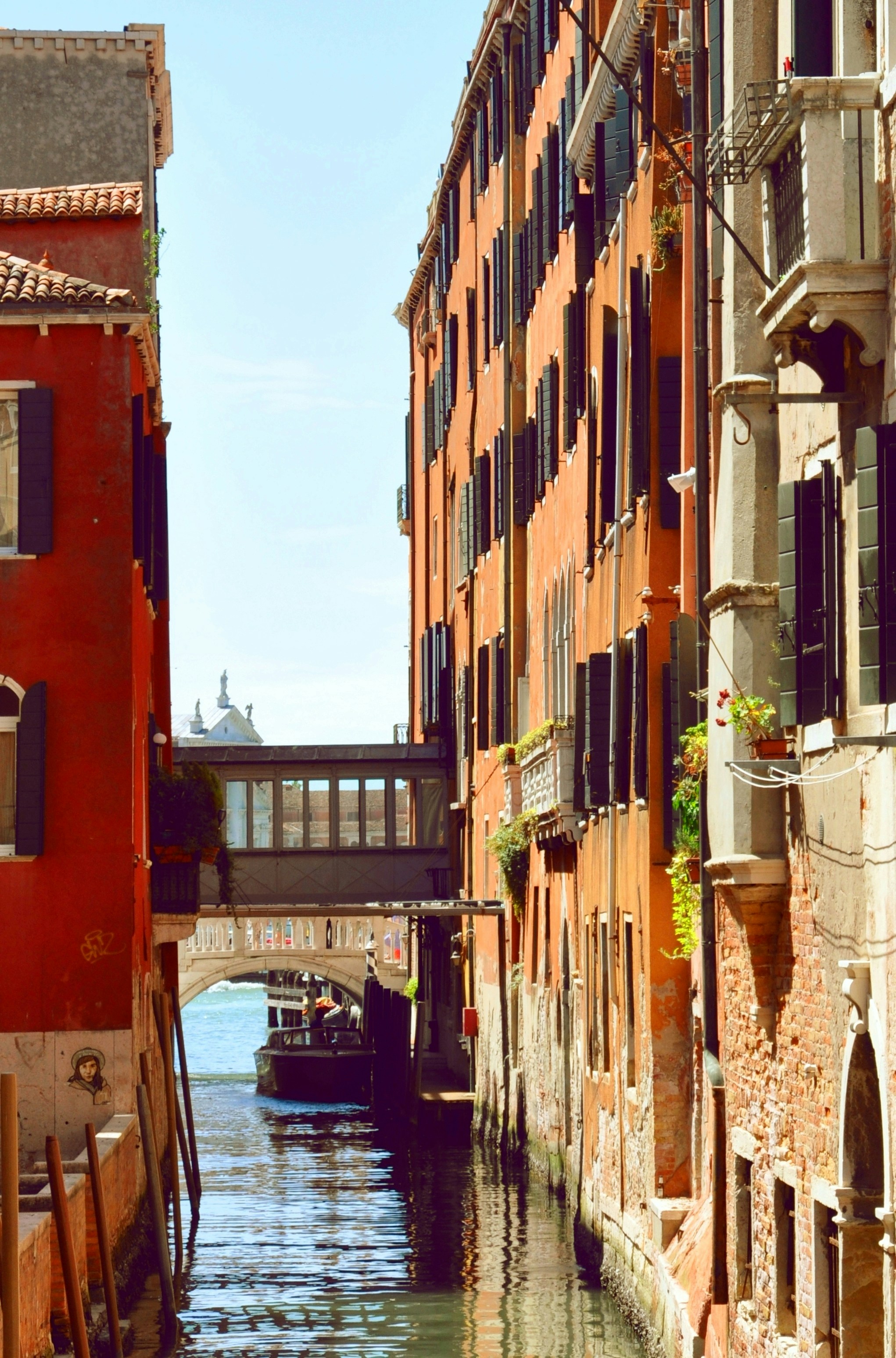 Photo by ninogakhokia