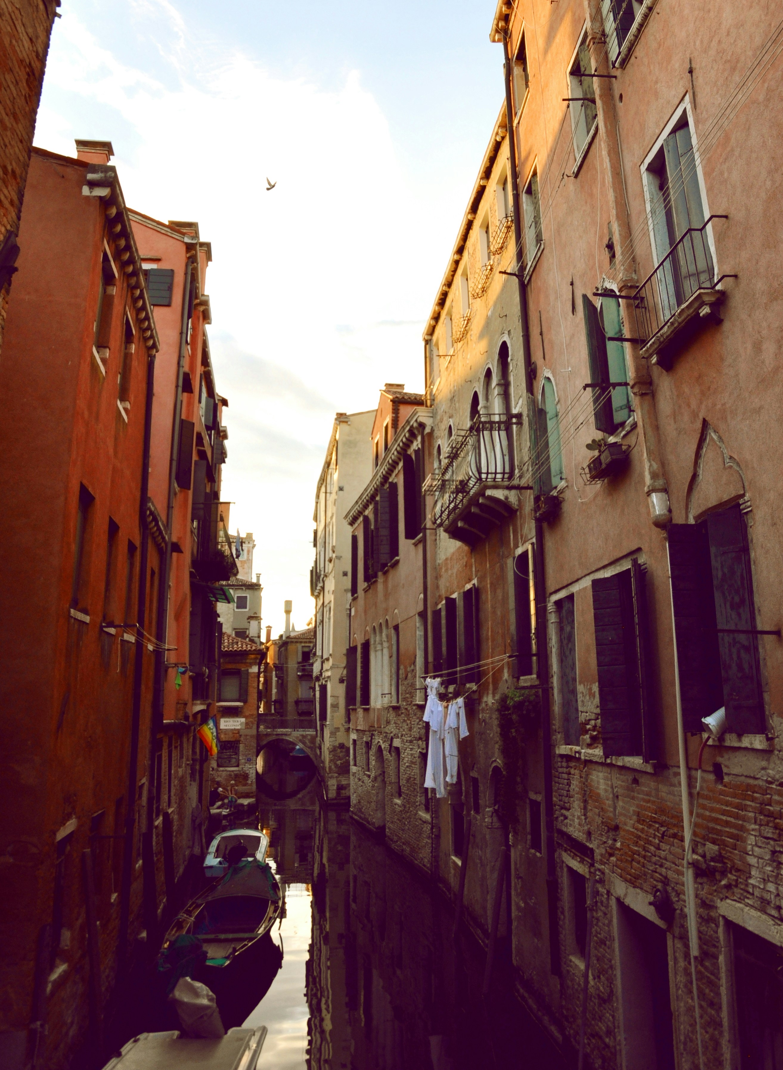 Photo by ninogakhokia