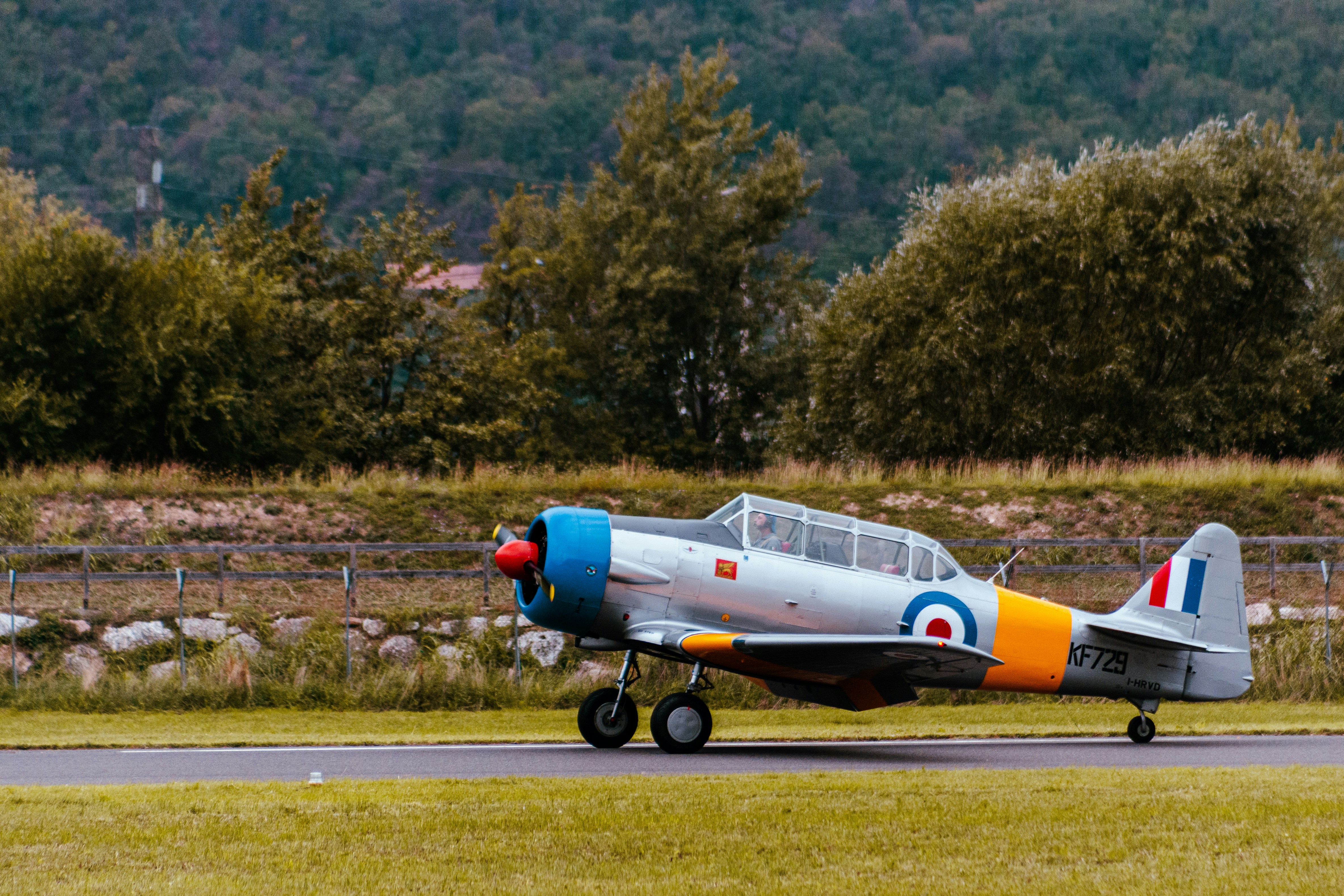 Photo by maxim_klimashin