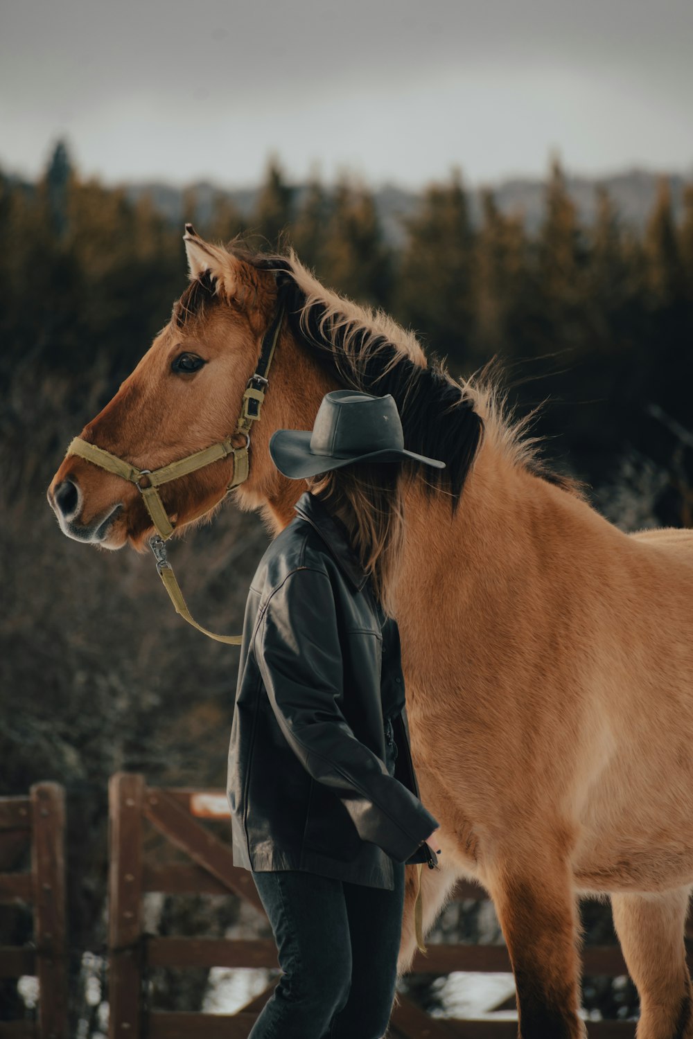 a person with a hat and a horse