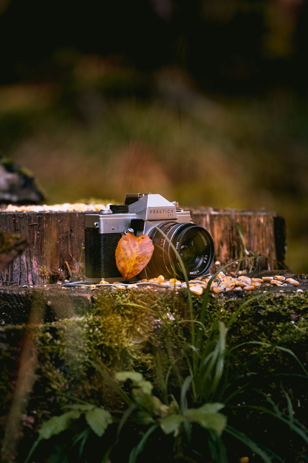 a camera on a wood fence