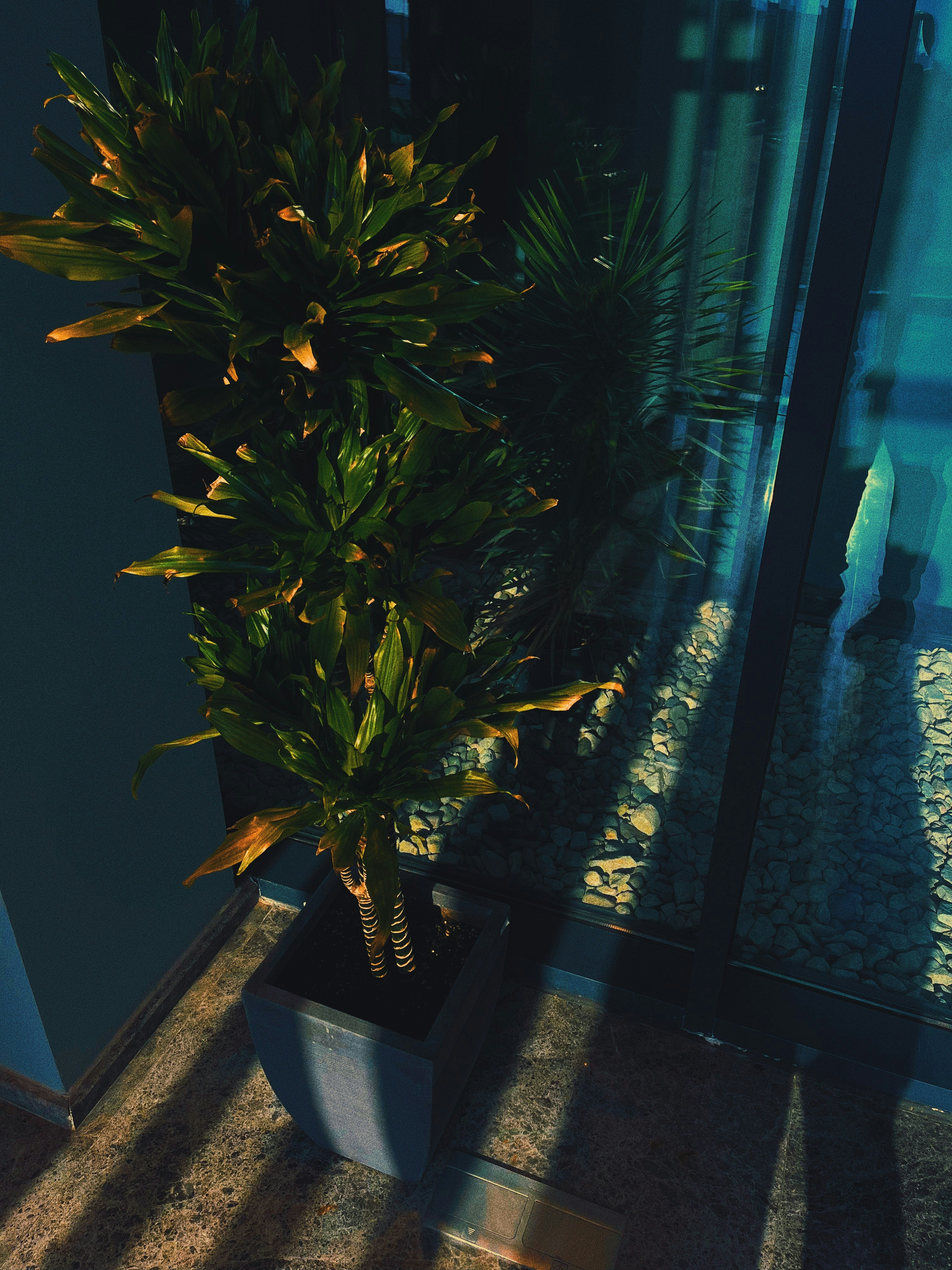 Photo by salemmadeit1