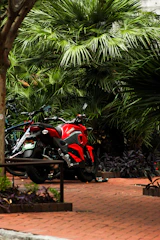 A vibrant motorbike parked near palm trees with a backdrop of Phuket’s hills.