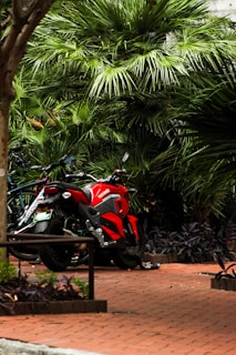Several motorbikes are parked on a brick-paved pathway surrounded by lush green palm trees. The dominant bike is red and catches the eye.