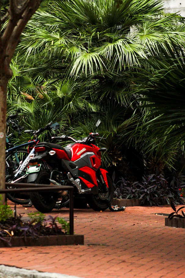 A vibrant motorbike parked near palm trees with a backdrop of Phuket’s hills.