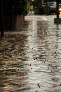 Sidewalk area freshly cleaned by purevanta, with water still glistening on the pavement.