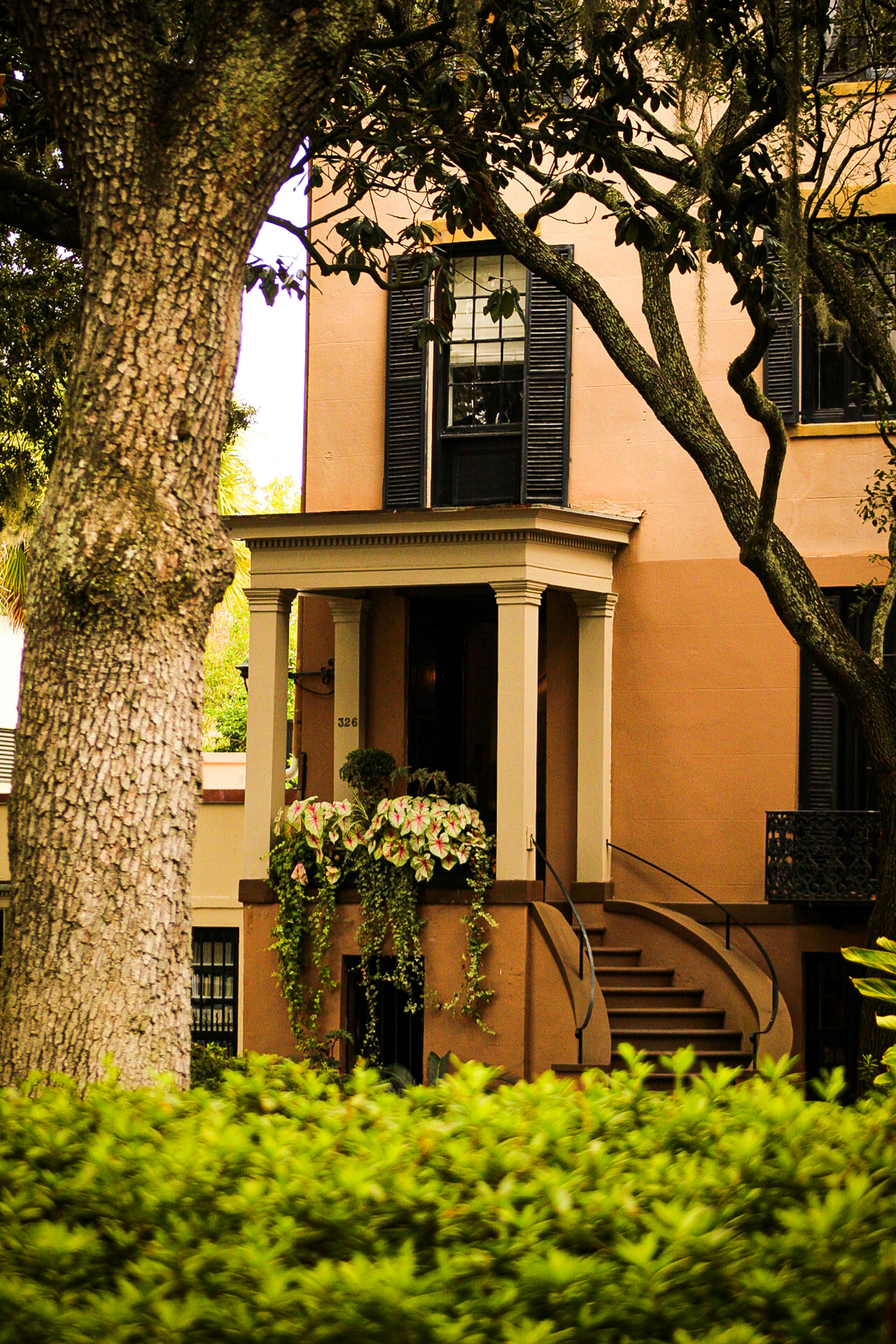 Photo by project_link