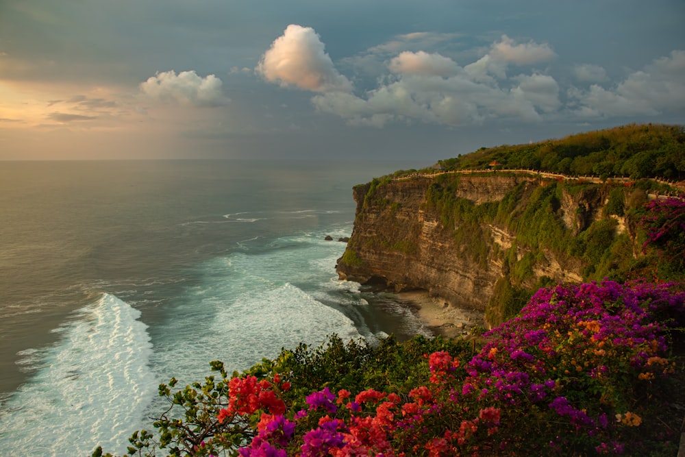 a cliff with flowers and a body of water below