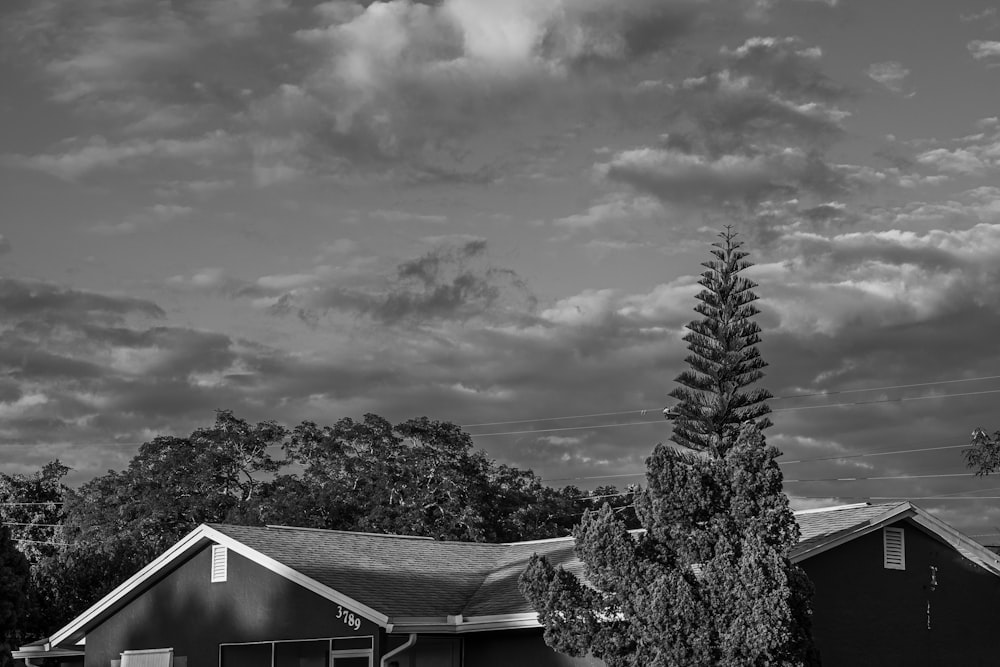 a tree in front of a house