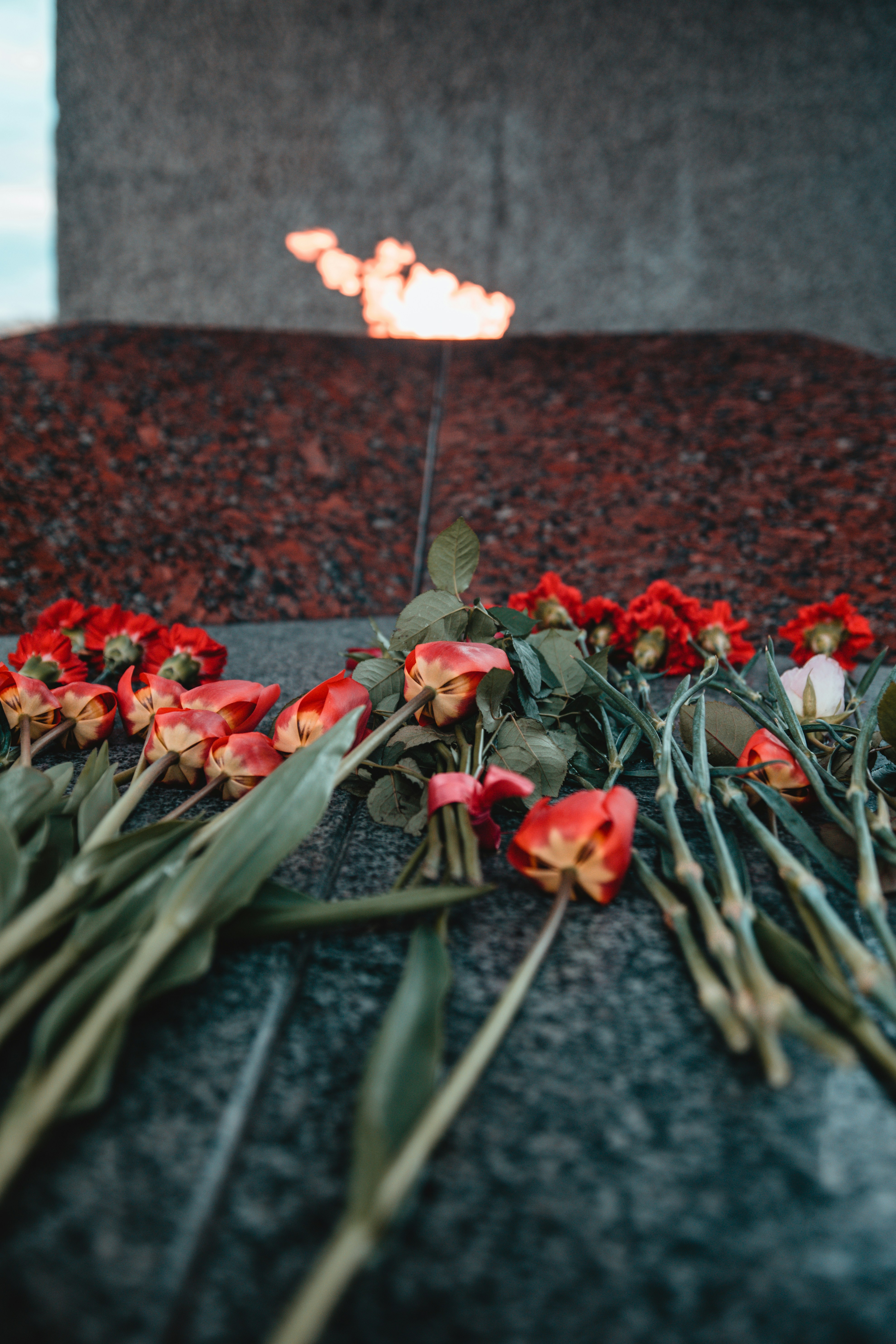 Photo by wrecker2281337