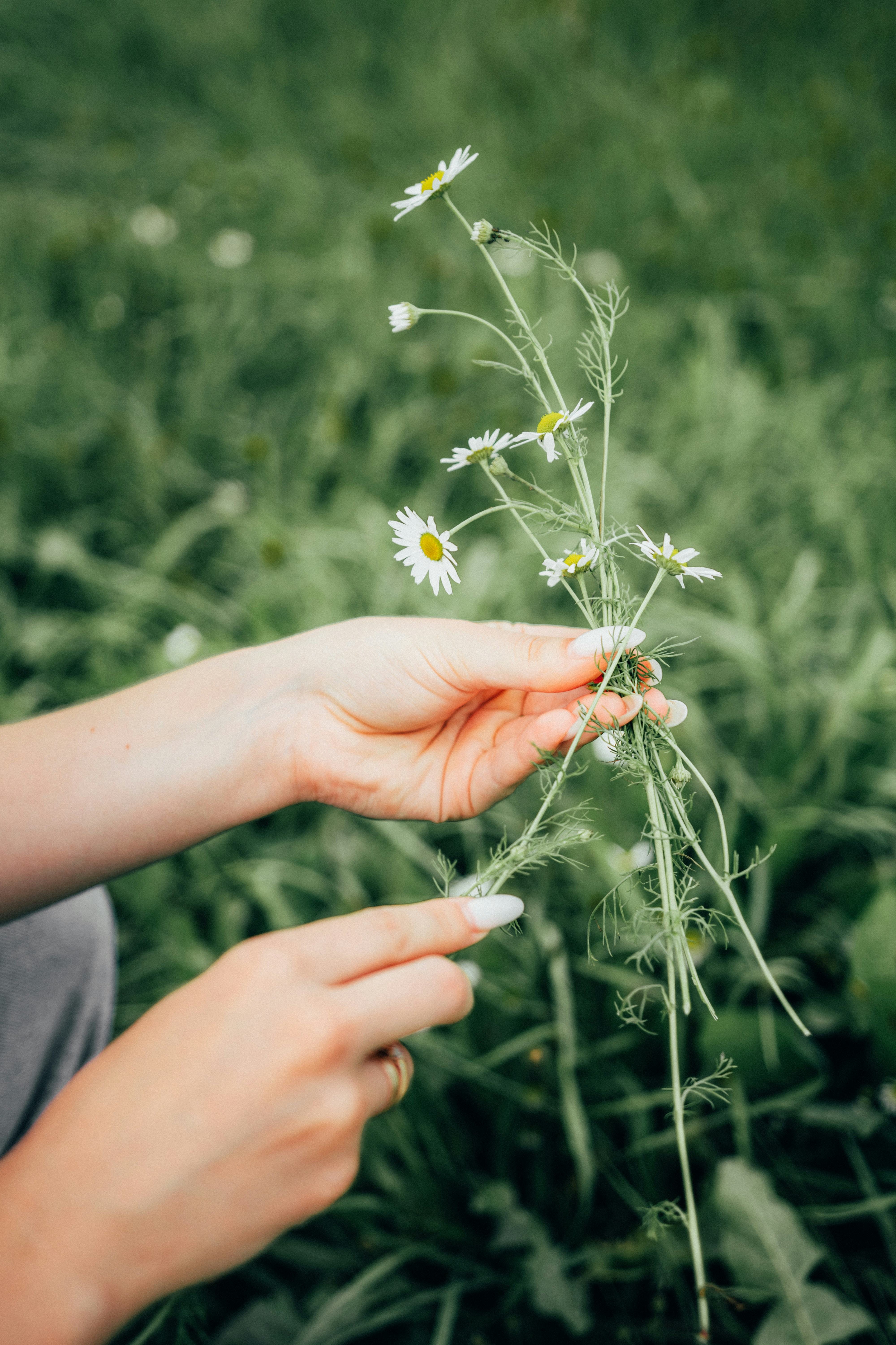 Photo by wrecker2281337