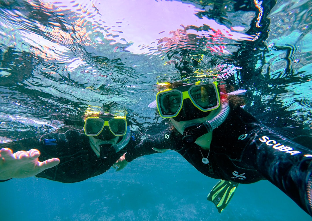 snorkeling the great barrier reef