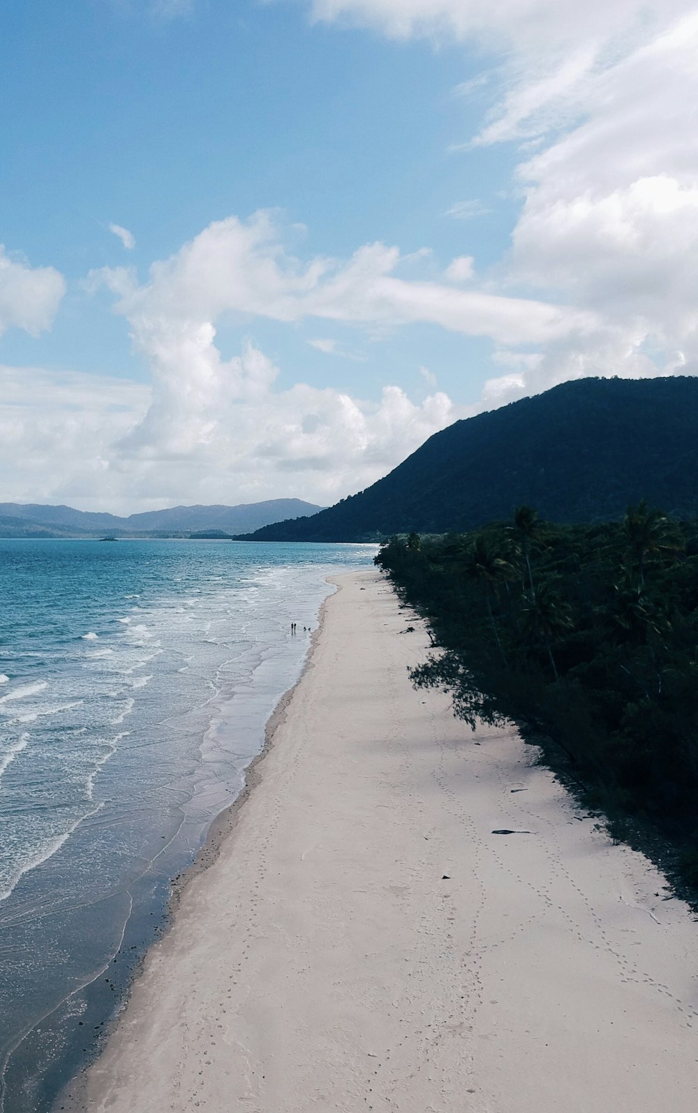 a beach with a body of water and trees on the side