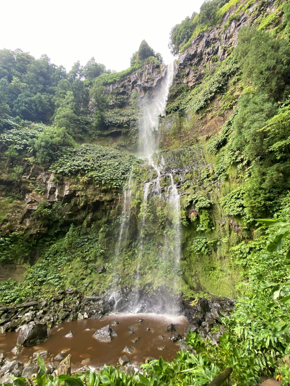 a waterfall in a forest