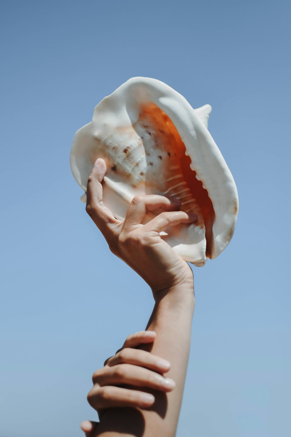 a person holding an ice cream cone