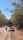 A horse-drawn carriage travels down a dirt road surrounded by autumnal trees. The carriage is occupied by people sitting quietly as they move along the path. The scene is set under a clear blue sky, with the leaves on the trees displaying shades of green and yellow.