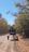 A horse-drawn carriage travels down a dirt road surrounded by autumnal trees. The carriage is occupied by people sitting quietly as they move along the path. The scene is set under a clear blue sky, with the leaves on the trees displaying shades of green and yellow.