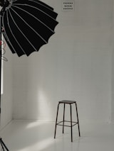 Minimalist studio setup showcasing fresh ingredients arranged for a product shoot.