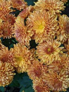 background pattern