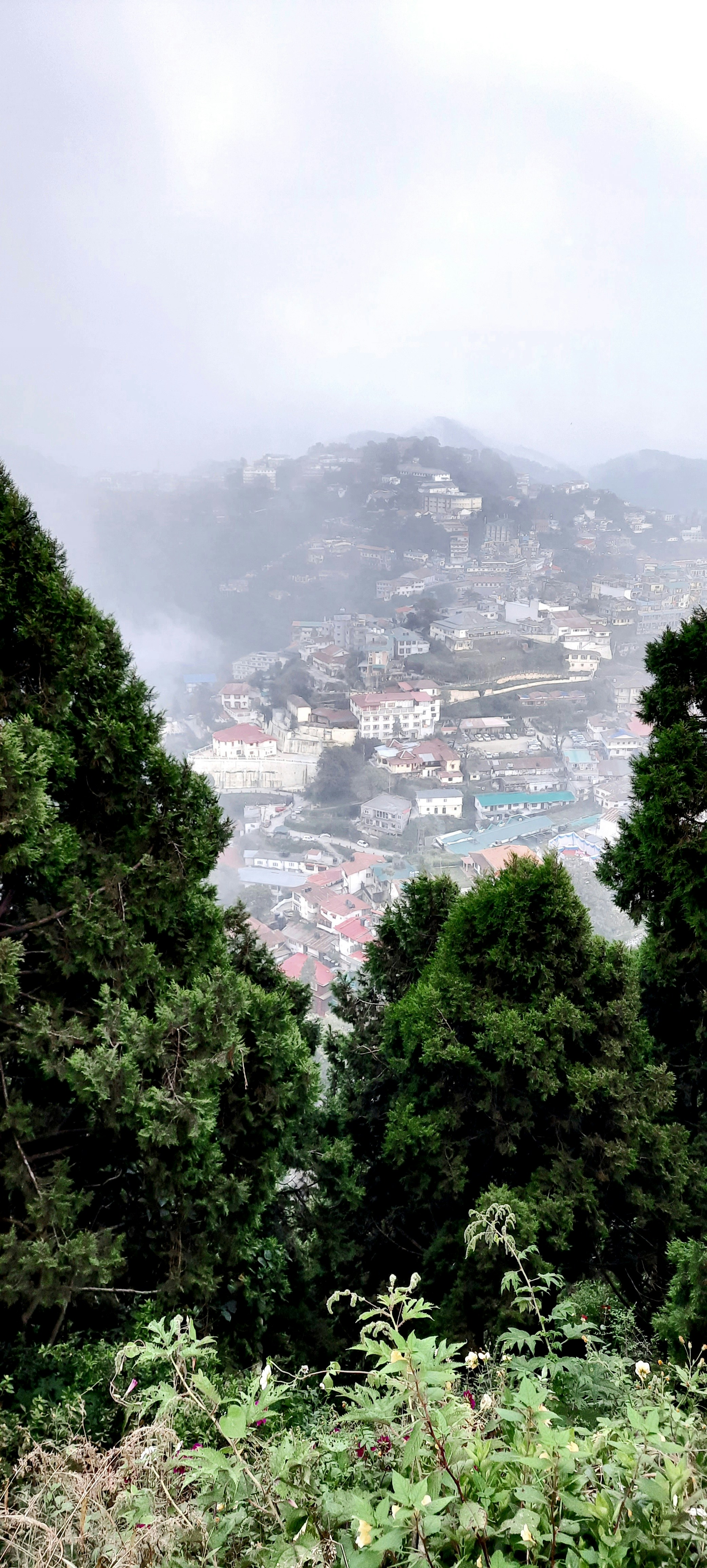 Photo by vijay_kumar_gaba