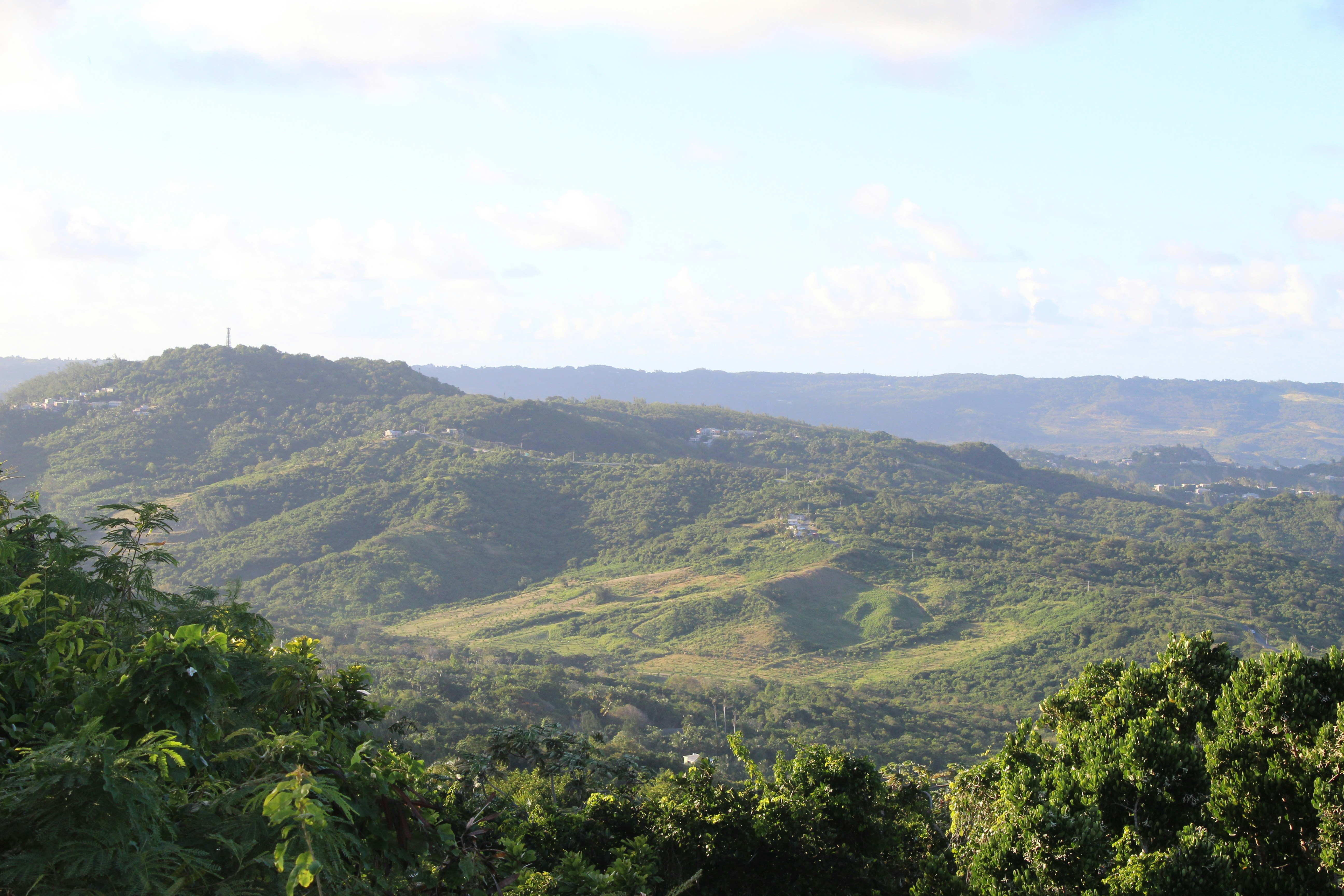 Photo by bionic_eye2529