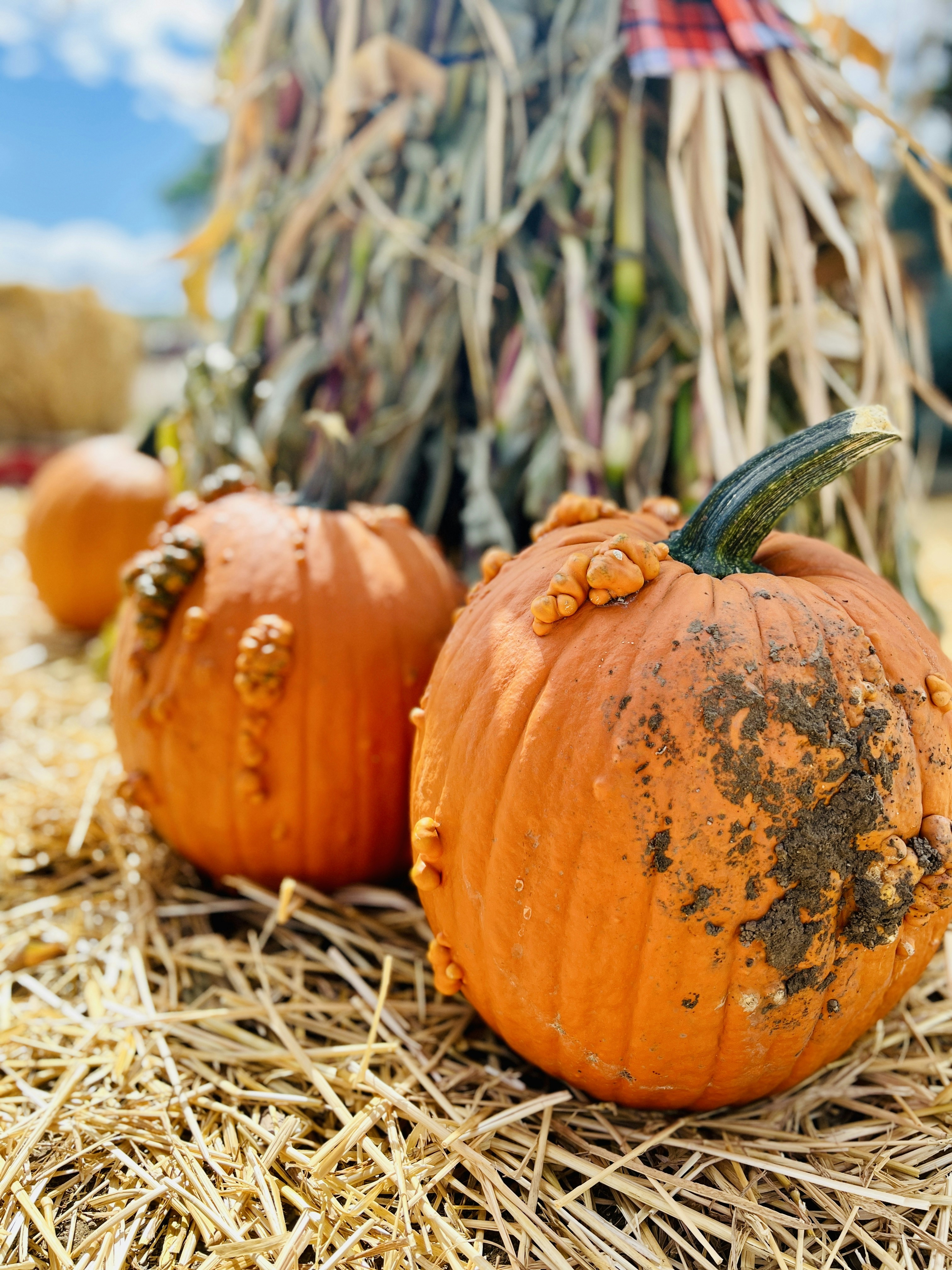 Photo by michaelhystead