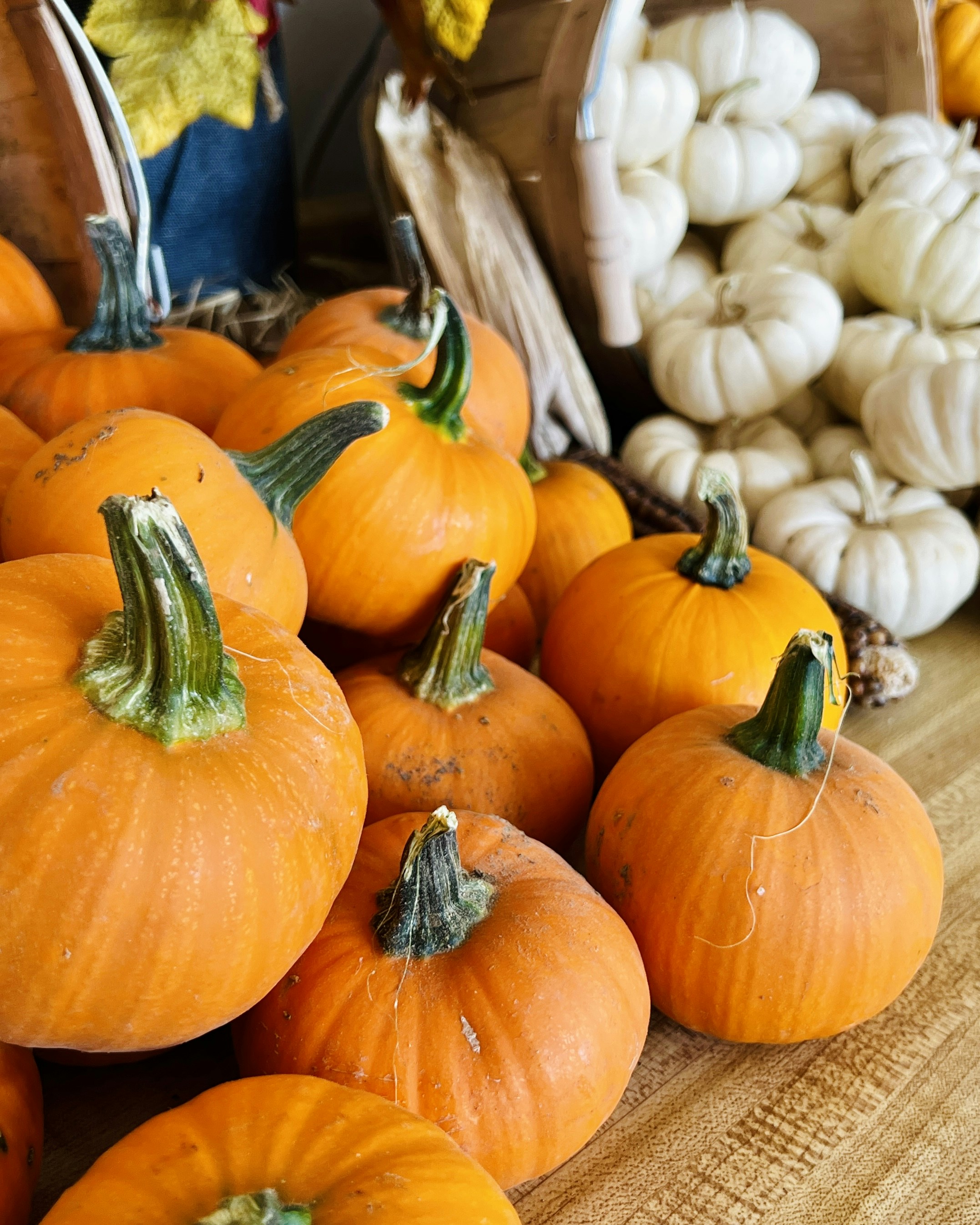 Photo by michaelhystead