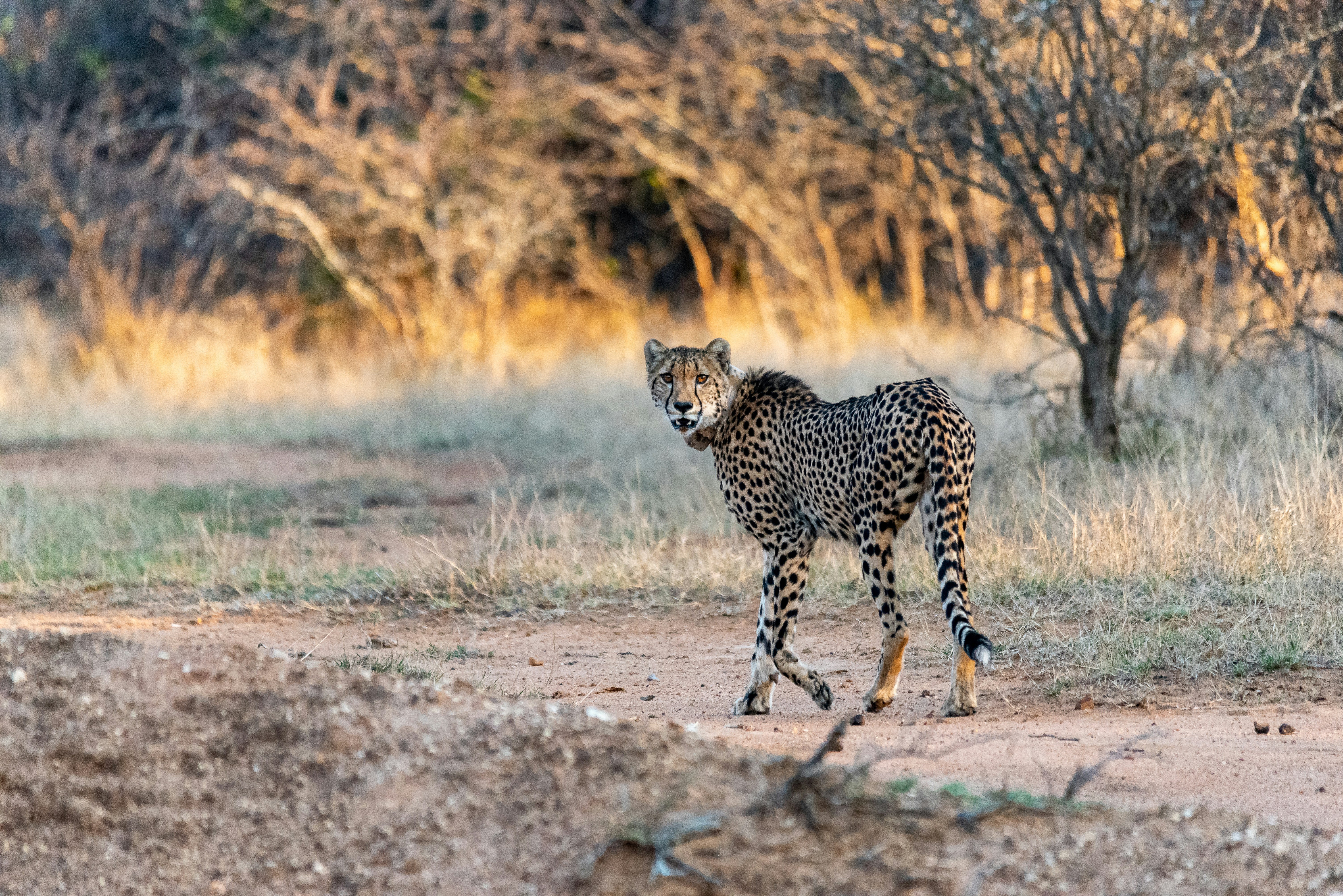 Photo by stewardesign