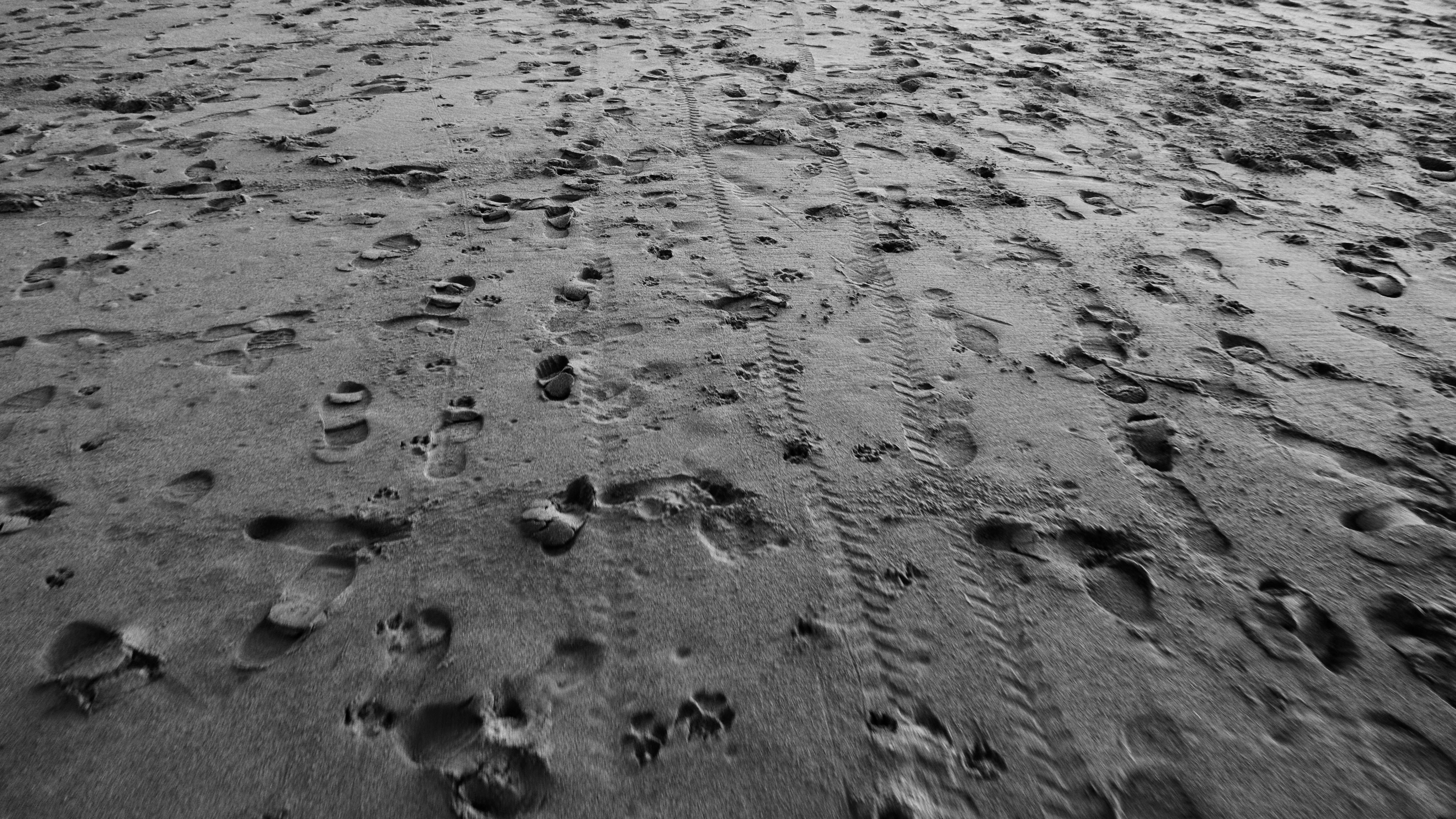 Photo by rishigurjar