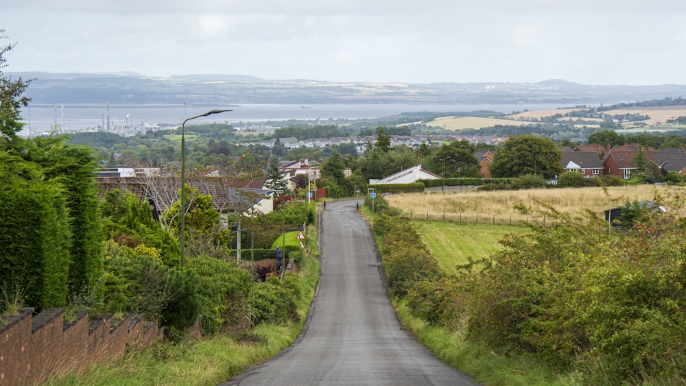 a road with trees and buildings on the side