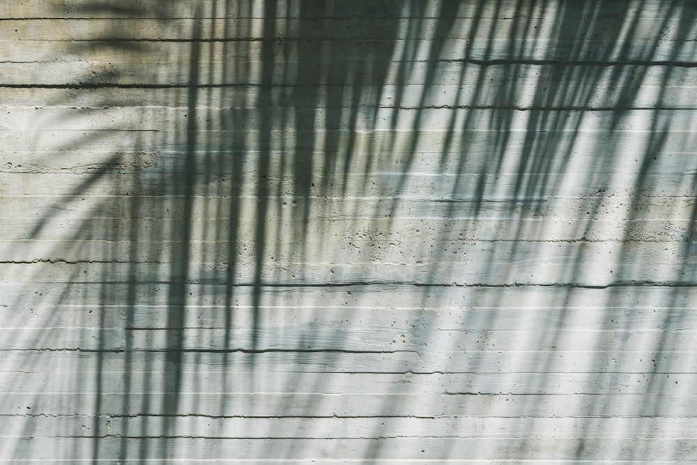 a shadow of a person on a wooden surface