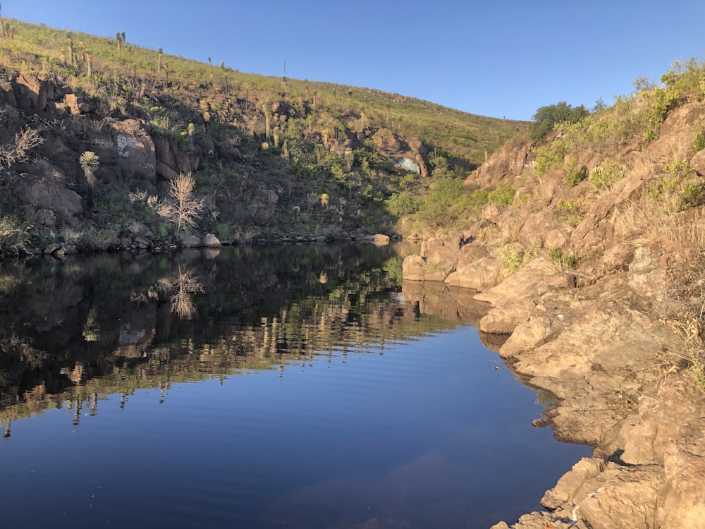 a body of water with rocks and plants on the side