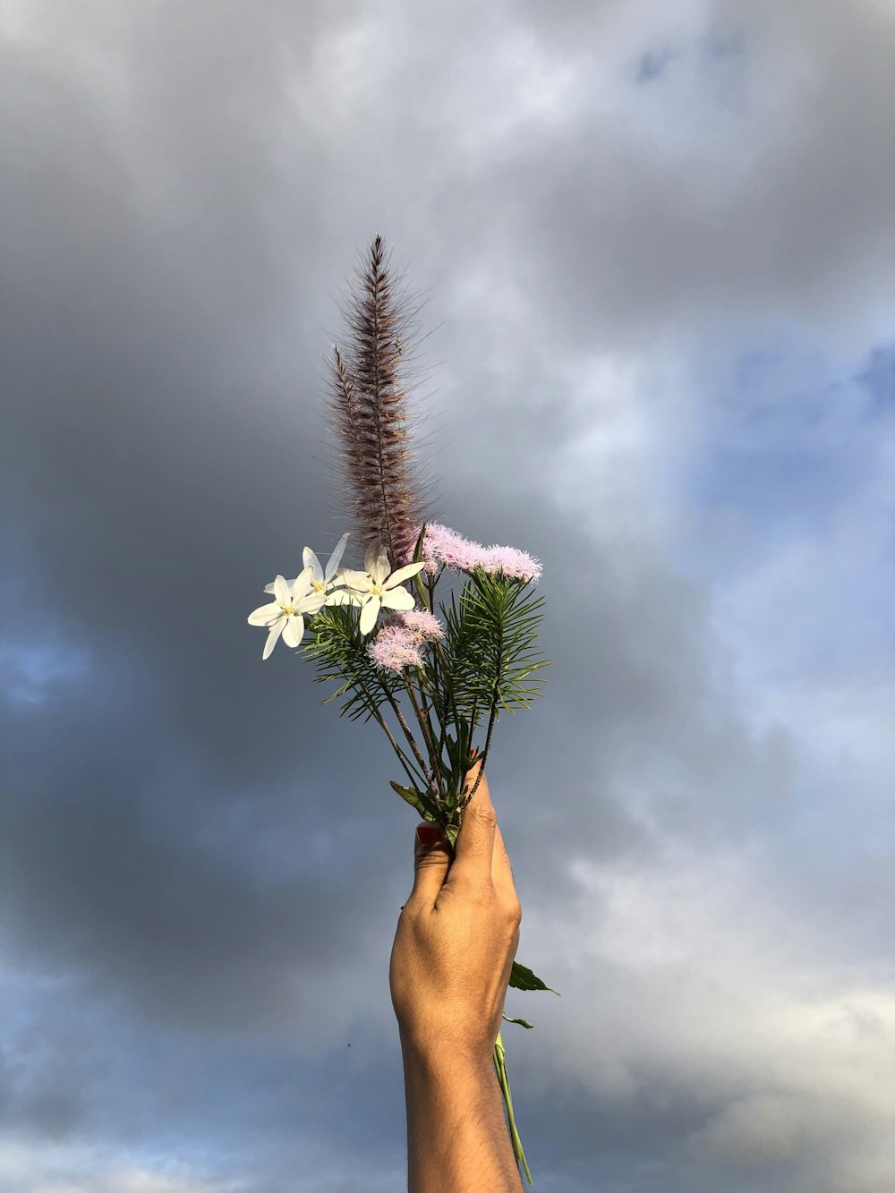 a hand holding a small white flower