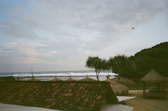 A tranquil coastal scene featuring thatched-roof structures near a sandy beach. The ocean, with gentle waves, stretches into the background under a partly cloudy sky. A lone bird is visible in the sky, and lush green hills flank the right side of the scene.