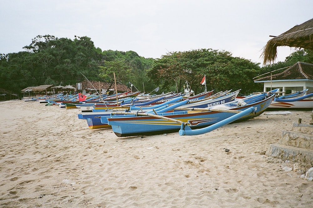 a group of boats on a beach