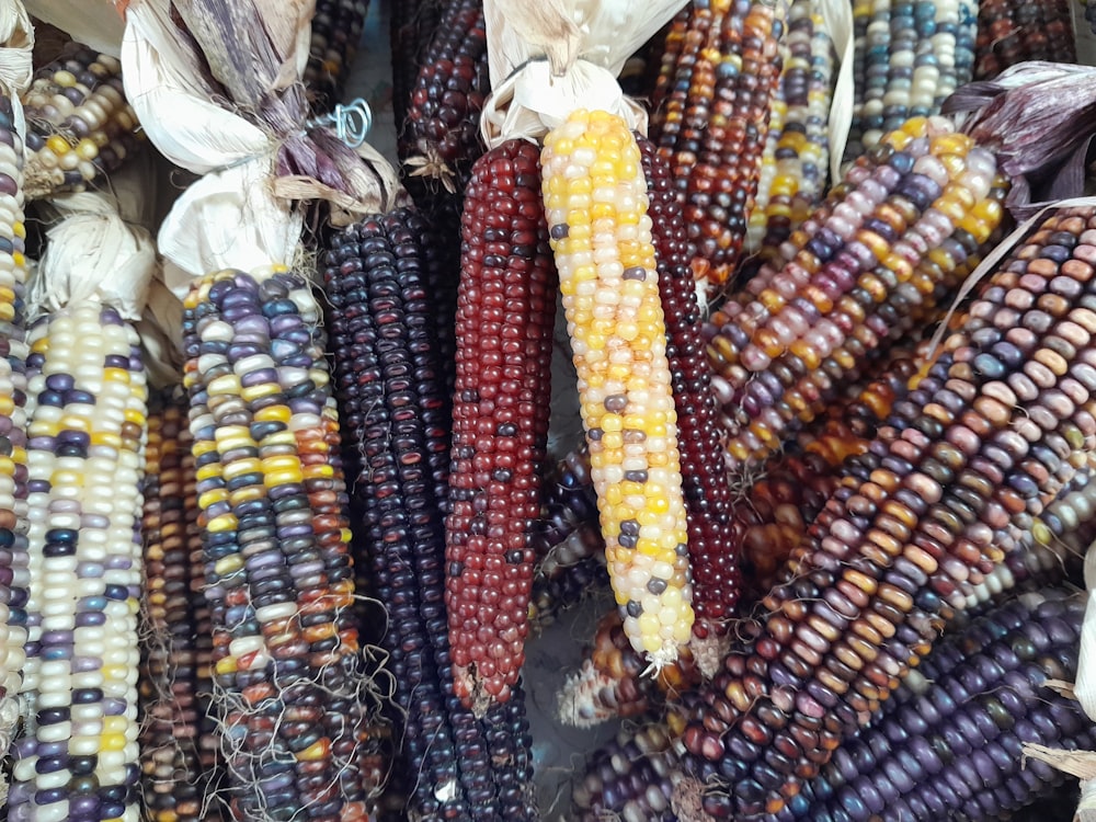 a large group of colorful beads