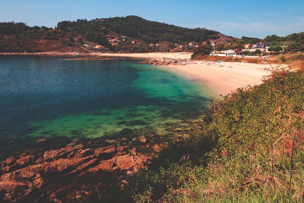 a beach with a body of water