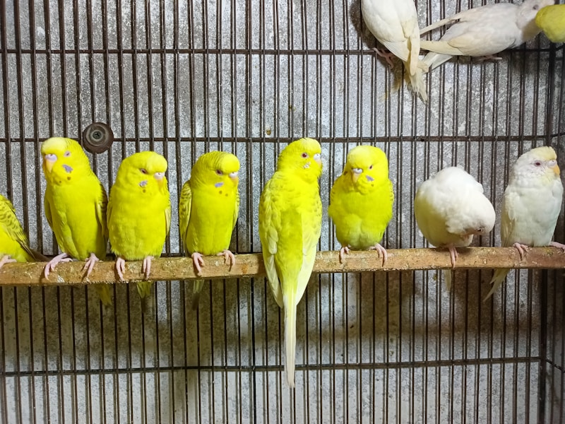 Breeding