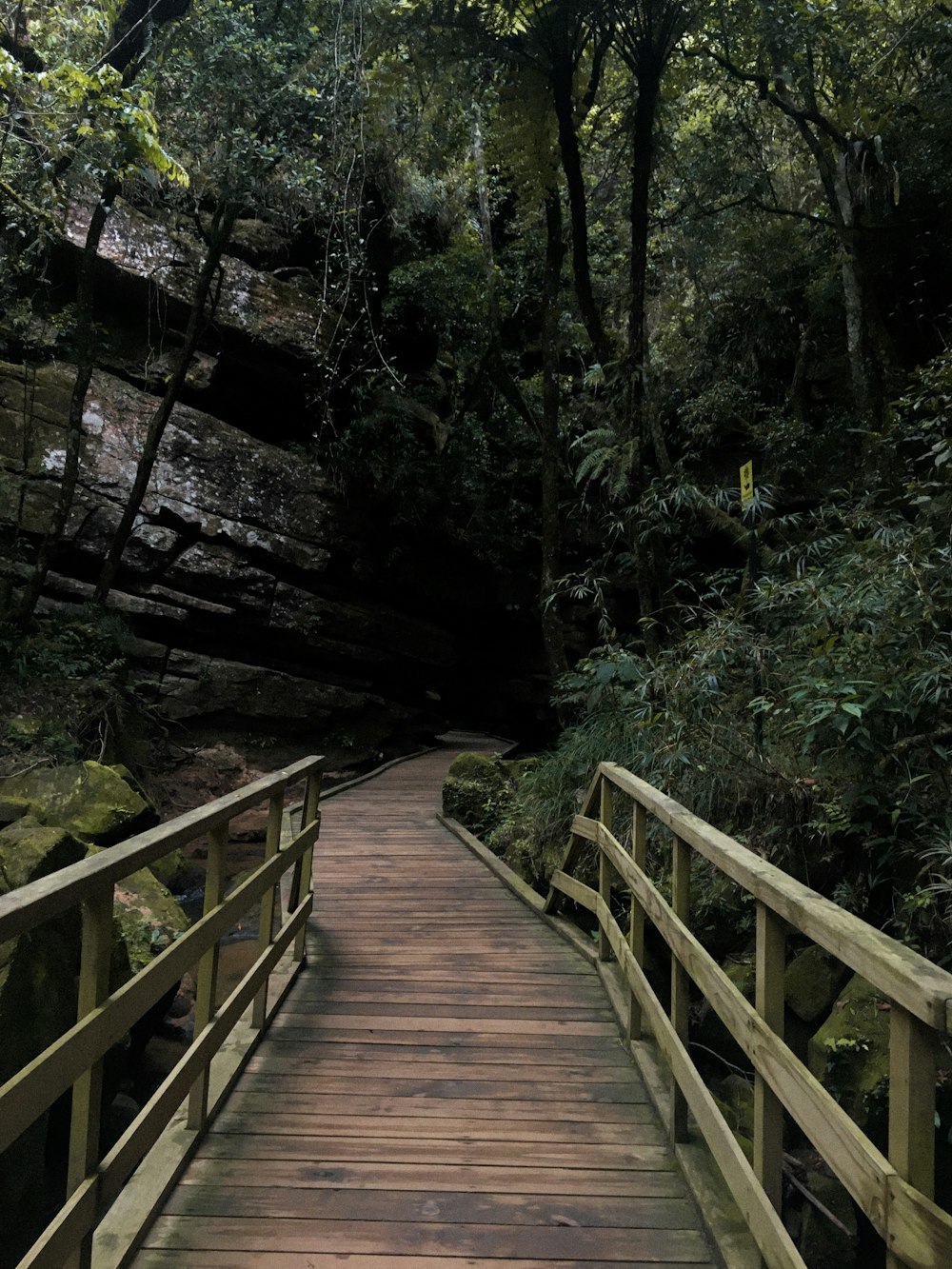 a wooden bridge over a river