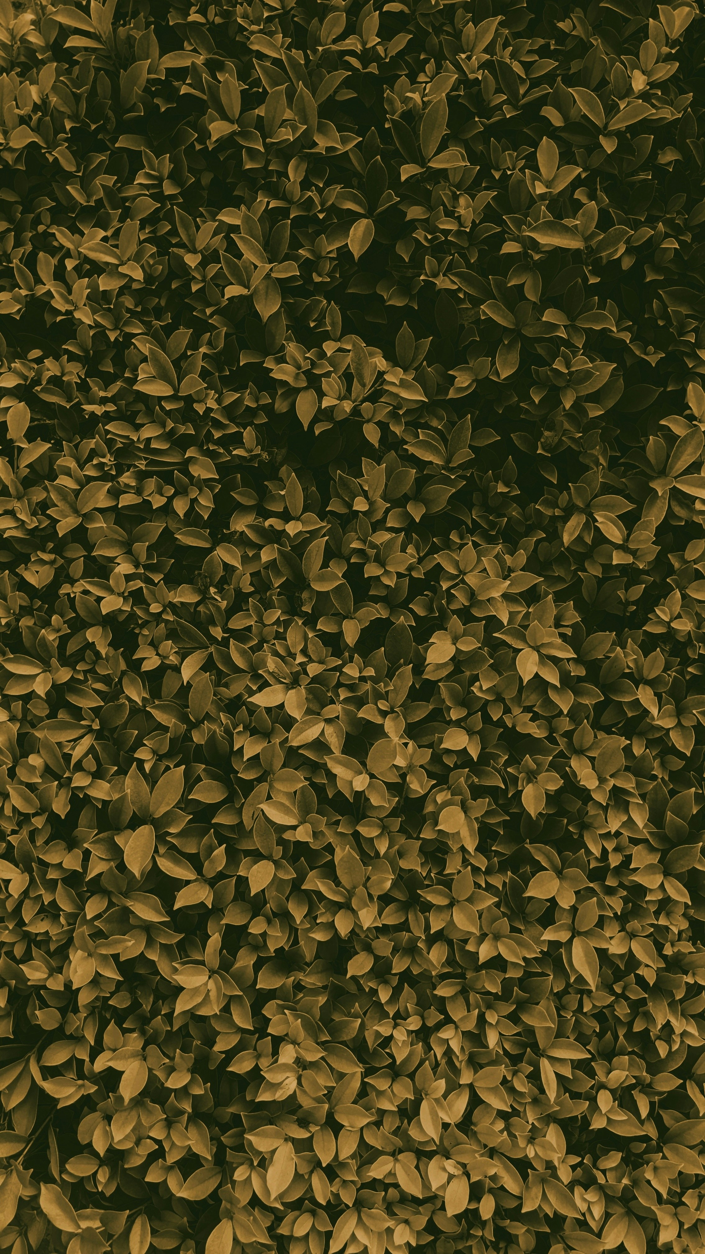 Photo by sincegameon