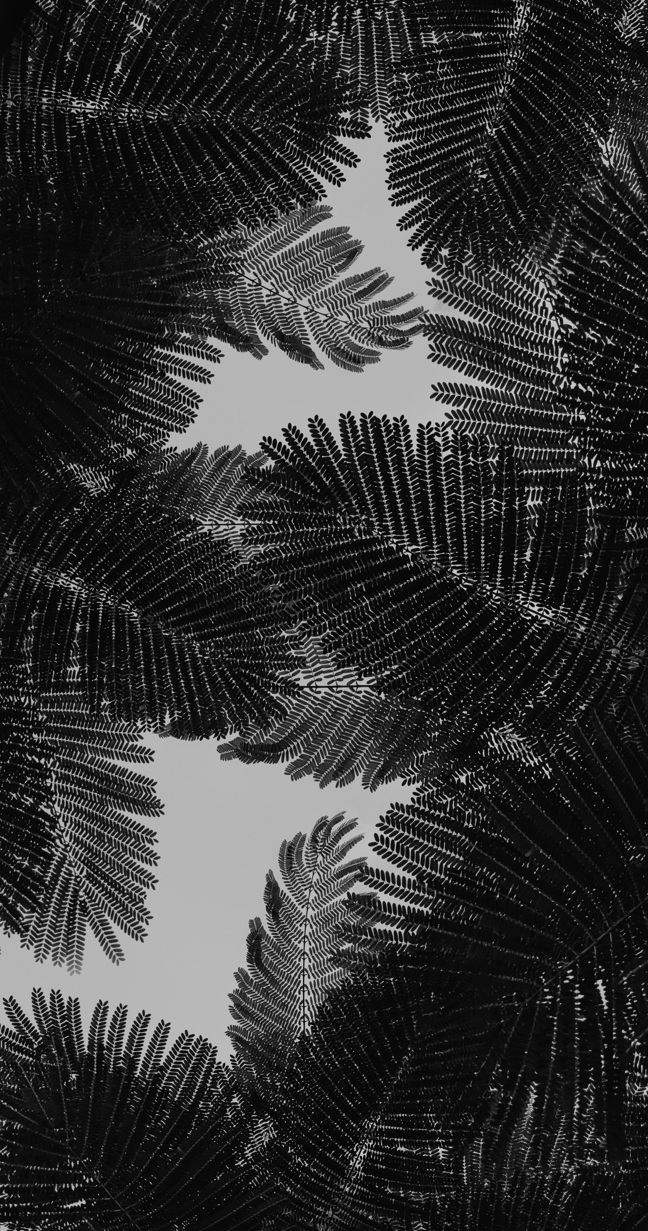 Photo by sincegameon