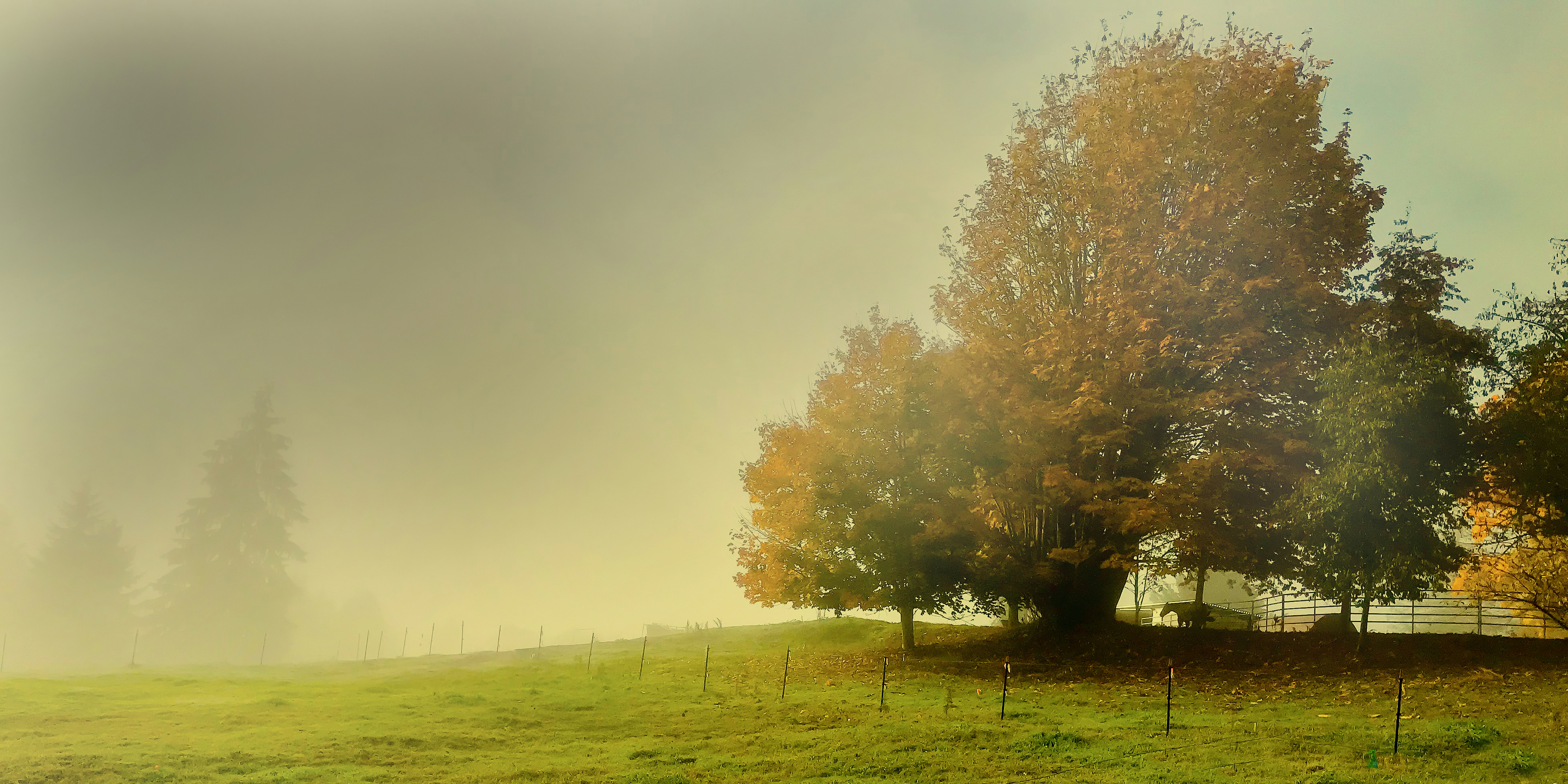 North jersey soccer clubs 24-25