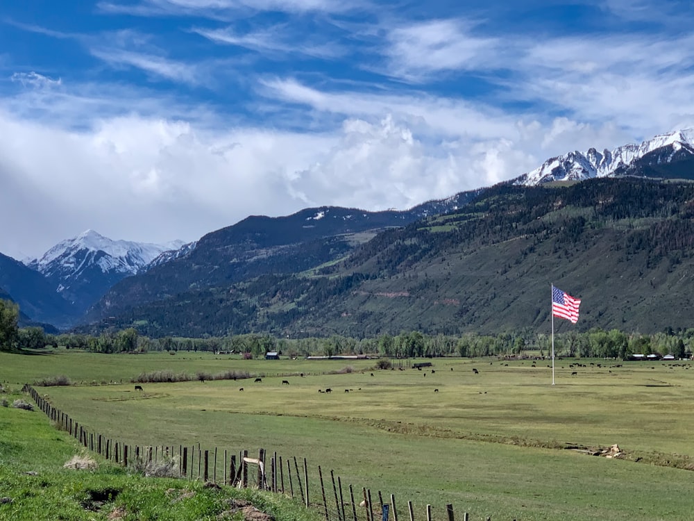 a flag on a pole in a field with mountains in the background
