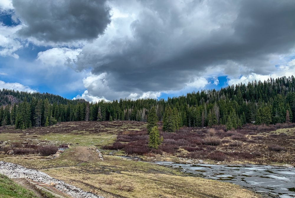 a river with trees and a cloudy sky