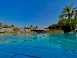 A clear swimming pool reflecting the bright blue sky and surrounded by palm trees. There is a structure with wooden beams and railings in the background, giving a resort-like feel. Sun loungers and some people are visible, enjoying the sunny day.