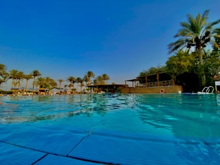 A friendly technician inspecting a sparkling backyard pool on a sunny day in Cape Town.